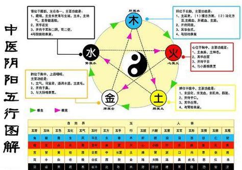 金生水 五行|五行